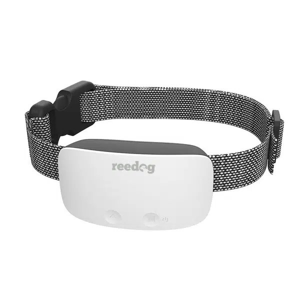 Reedog No Bark Vibro Premium | Protištekací obojok - bílá