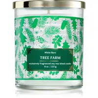 Bath & Body Works Tree Farm vonná sviečka 227 g