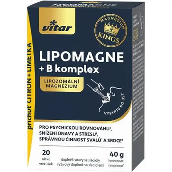 VITAR Lipomagne + B komplex 20 x 2 g