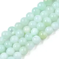 Natural Freshwater Shell Beads Strands