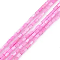Natural Freshwater Shell Dyed Beads Strands
