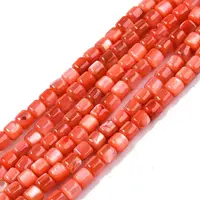Natural Freshwater Shell Beads Strands