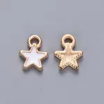 Alloy Enamel Charms