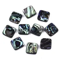 Natural Abalone Shell/Paua Shell Cabochons