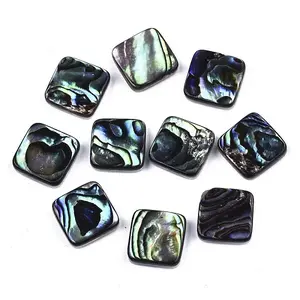 Natural Abalone Shell/Paua Shell Cabochons