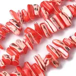 Dyed Natural Trochus Shell Beads Strands