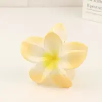 Plastic Claw Hair Clip