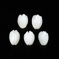 Natural Trochid Shell/Trochus Shell Beads