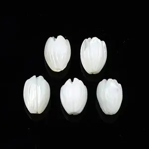 Natural Trochid Shell/Trochus Shell Beads