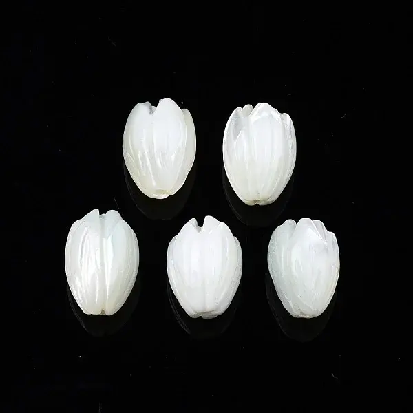 Natural Trochid Shell/Trochus Shell Beads