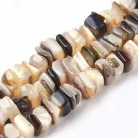 Freshwater Shell Beads Strands