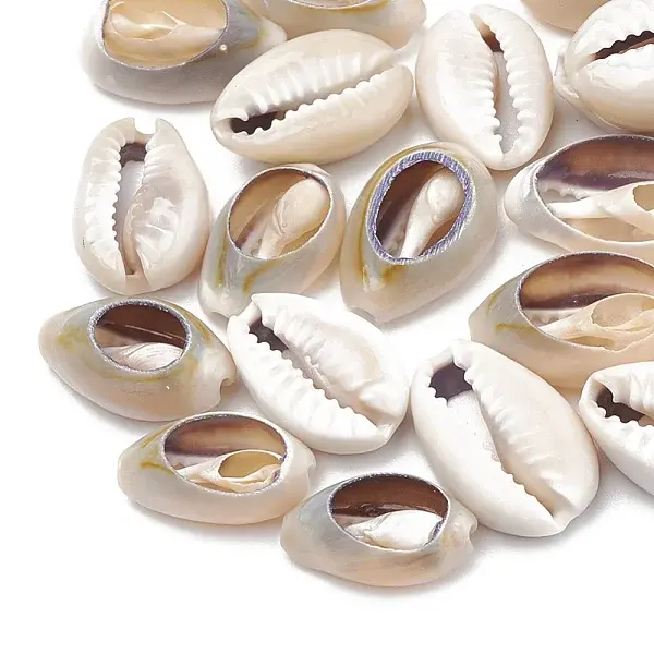 Cowrie Shell Beads