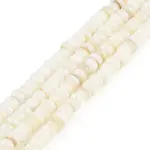 Natural Freshwater Shell  Beads Strands