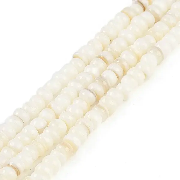 Natural Freshwater Shell  Beads Strands
