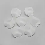 Transparent Acrylic Pendants