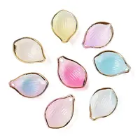 Gradient Color  Transparent Acrylic Pendants