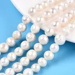 Natural Cultured Freshwater Pearl Beads Strands