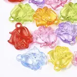 Transparent Acrylic Pendants