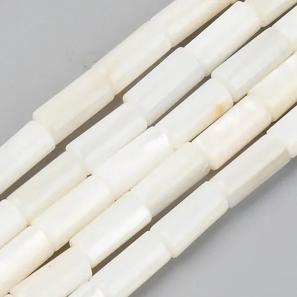Natural Freshwater Shell Beads Strands