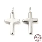 Rhodium Plated 925 Sterling Silver Charms