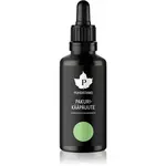 Puhdistamo Chaga Extract adaptogen pro podporu fyzického a duševního zdraví 50 ml