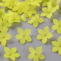 Frosted Acrylic Bead Caps