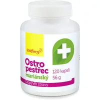 Wolfberry Ostropestřec mariánský kapsle pro podporu zažívání 120 cps