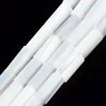 Natural Trochid Shell/Trochus Shell Beads Strands