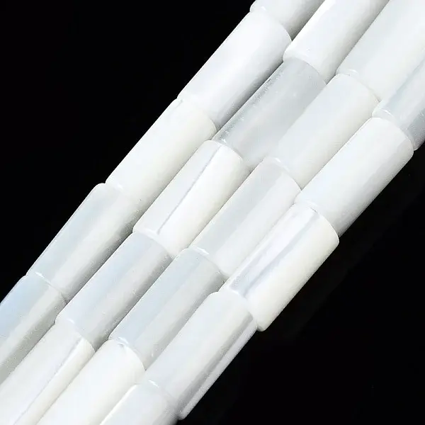 Natural Trochid Shell/Trochus Shell Beads Strands