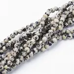 Natural Dalmatian Jasper Beads Strands