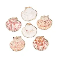 Electroplate Sea Shell Pendants