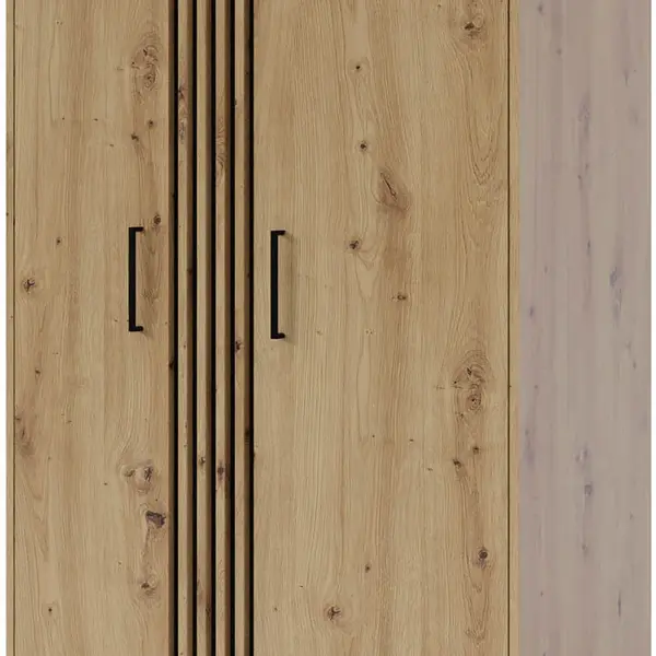 Šatní skříň Nadia ND1 Barva korpusu: Dub artisan / černá