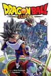 Dragon Ball Super (Volume 14) - Akira Toriyama, Toyotarou (ilustrátor) - kniha z kategorie Komiksy