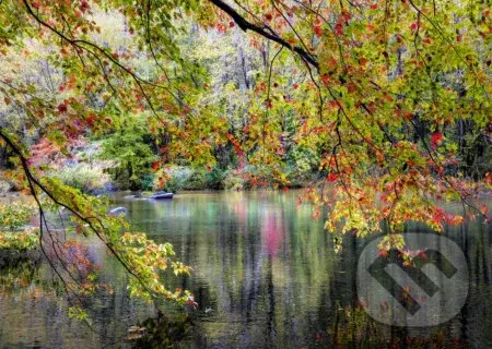 Konáre na okraji rieky - puzzle z kategorie Přírodní scenérie