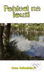 Pohled na louži - Hana Hermánková - kniha z kategorie Beletrie