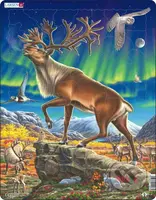 Soby FH26 - puzzle z kategorie Naučné puzzle