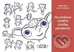 Hurvínkova nedělní chvilka pandemie - Robin Král - kniha z kategorie Beletrie