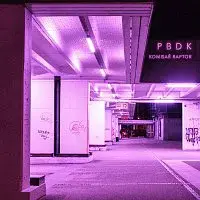 Komisař Raptor – Příběhy bez dobrýho konce