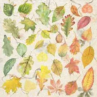Meadow Talks – Red Leaves, Green Leaves