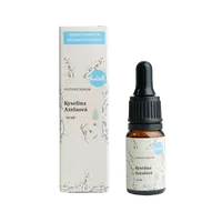 Kvitok Pleťové sérum - Kyselina azelaová (10 ml)