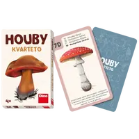 Dino - Kvarteto Houby