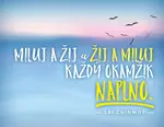 Magnet na lednici Miluj a žij