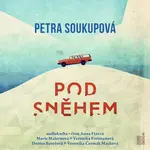 Pod sněhem