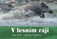 V lesním ráji