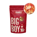 BIG BOY Proteinová granola s bílou čokoládou a ovocem 360 g
