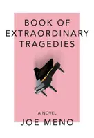 Book Of Extraordinary Tragedies - Joe Meno
