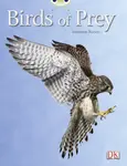 Bug Club Independent Non Fiction Year Two White A Birds of Prey - Johanna Rohan
