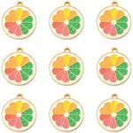 10PCS 10Pcs Fruit 304 Stainless Steel Enamel Charms