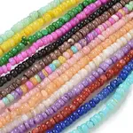 Dyed Natural Freshwater Shell Beads Strands