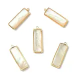 5Pcs Natural Paua Shell/Abalone Shell Pendants